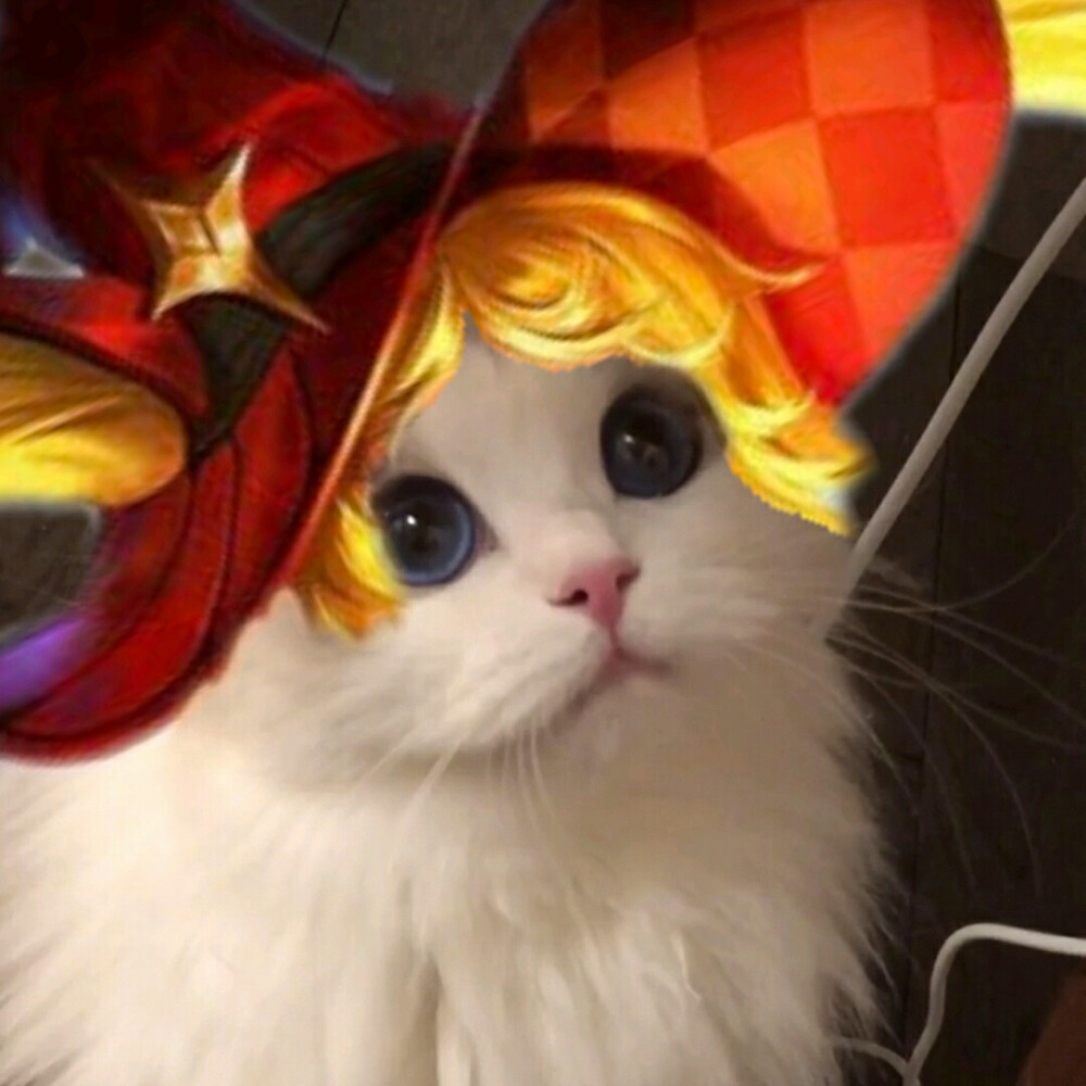 王者头像/表情包，小猫微博/抖音：吴kiwi是一只布偶，礼貌拿图，