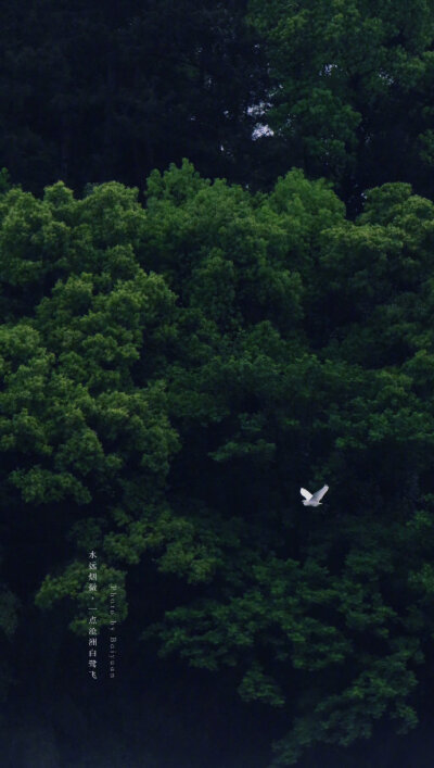 【原创】《斟一杯夜雨》
斟一杯夜雨
放在月光冷的清灯下
铺开浅蓝色纸片
写一段关于子夜相思
我不写你的名字
也不写沧澜乡愁
只写半生等候
你却依然在远方
而我，在旧城
饮尽这杯来自云水的痛
文：王健桦
图：网络 