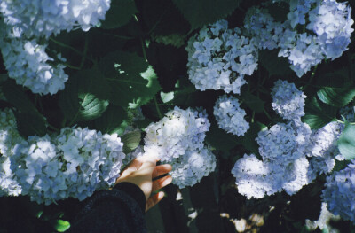 平板 笔记本电脑壁纸 朋友圈背景