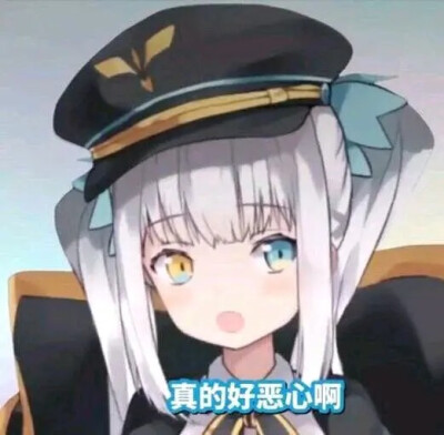 小狐狸peko猫猫小雪屑女仆