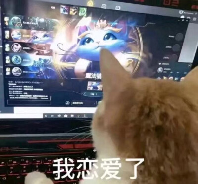 LOL 猫咪