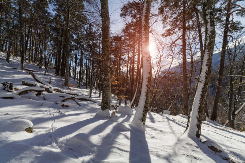 雪地山脉间的落日晚霞-macw图库素材
超清原图下载：https://sc.macw.com/atlas/3291_1.html
霞分朝霞和晚霞，是太阳光斜照至地球时遇到悬浮在大气层高处的细小尘粒产生散射而成的彩色光辉，而其通常会在日落后在云层最高处之上形成。更多超清图片下载欢迎到macw.com!