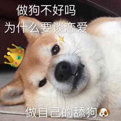 做自己的舔狗