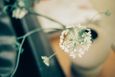 背景图
图源wb @一工夫匠