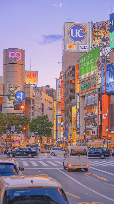 好像所有美好事情都发生在夏天❤️