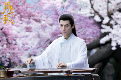 罗云熙 上官透 月上重火