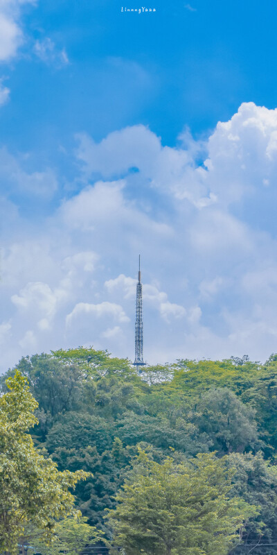 分享一组全面屏手机壁纸 蓝天白云太可啦
风景 ins 天空 简约壁纸无水印 | cr小羊憨批 ​