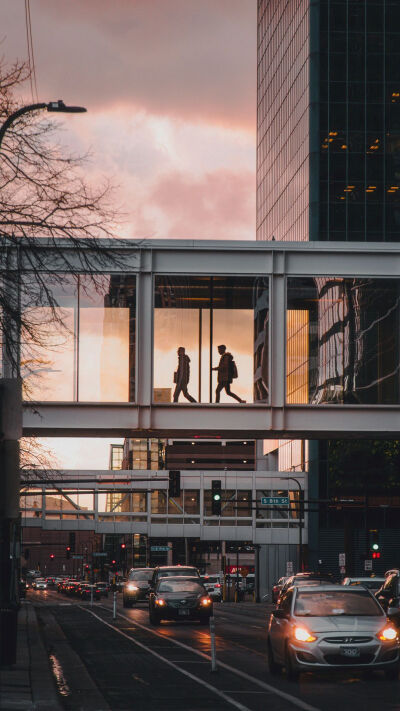 壁纸 图源网络 侵删