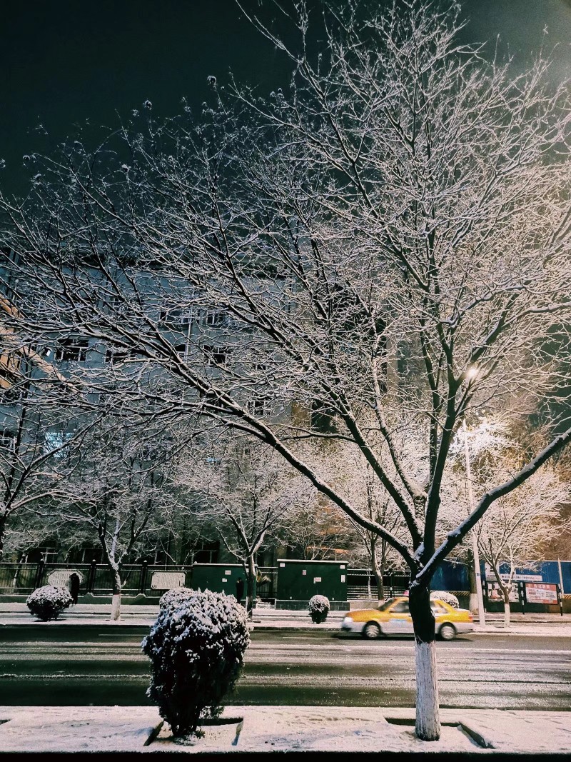 雪景