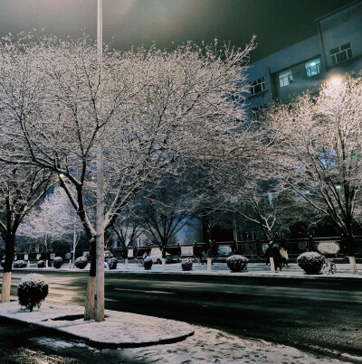 雪景