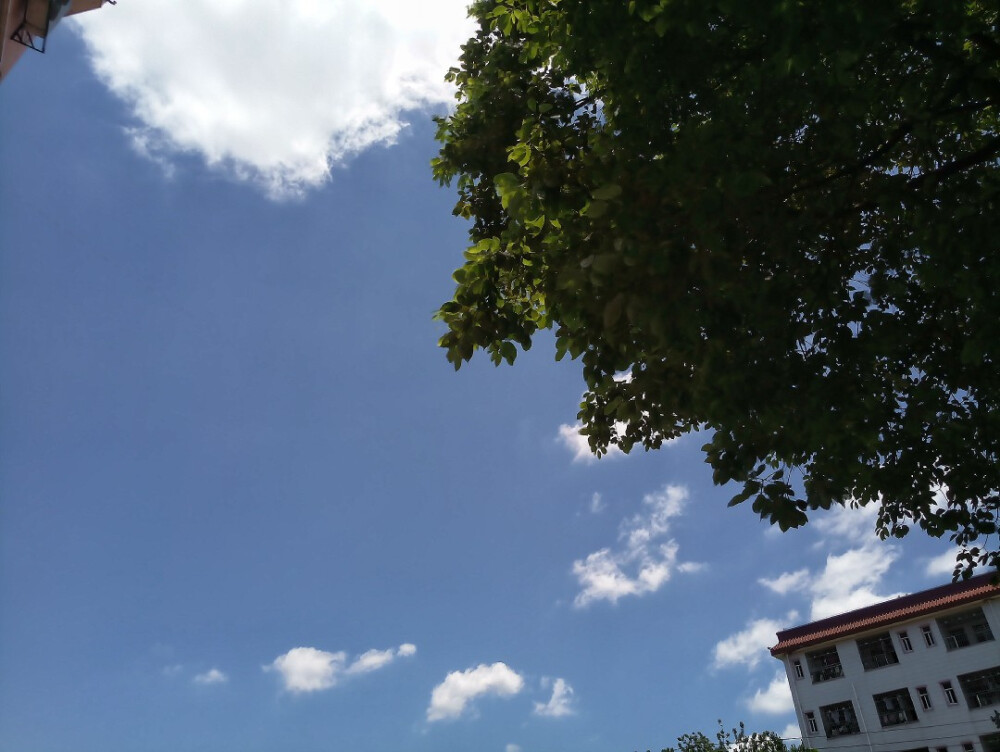 学校の夏日晴空