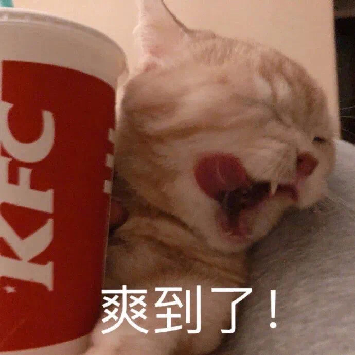 猫表情包爽到了