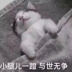 痒痒鼠