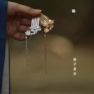 梅子黄时