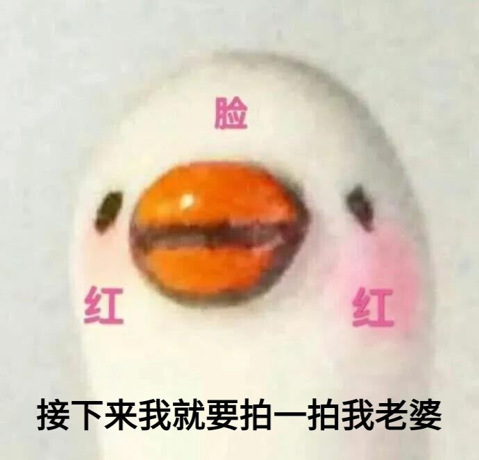 拍一拍