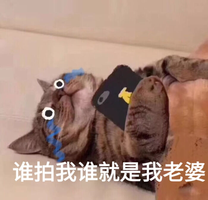 拍一拍