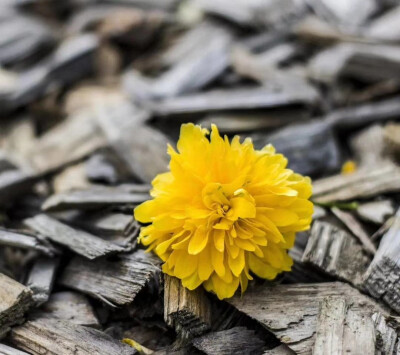 答案交给时间寻觅，未来随时带上阳光。
