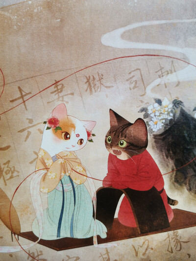 画猫