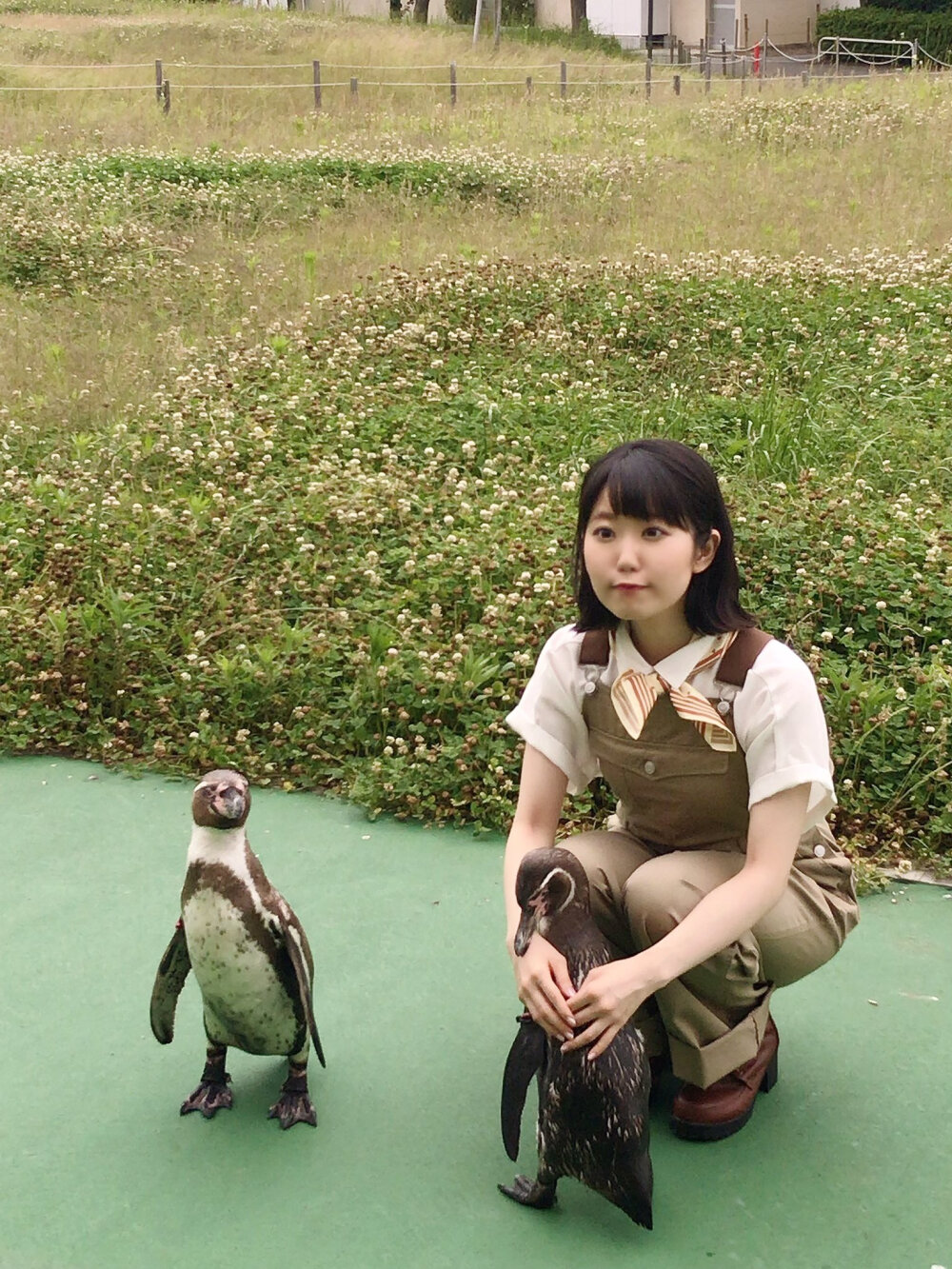 东山奈央