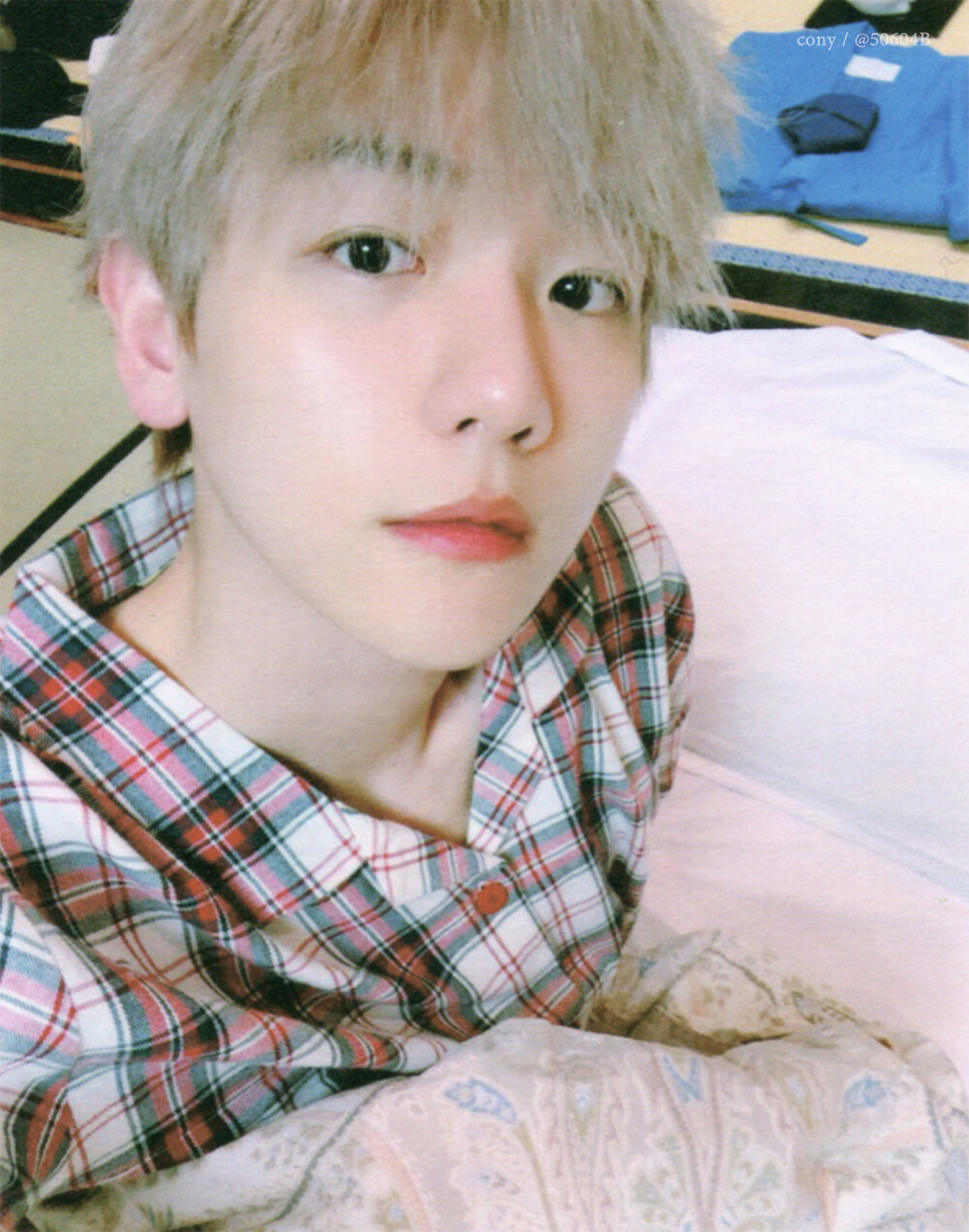 cr: 微博
可爱的虎子