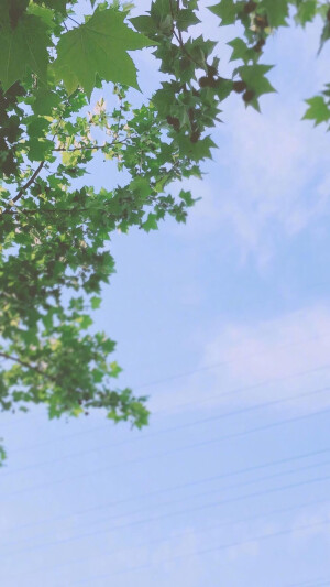 【壁纸】天青色等烟雨