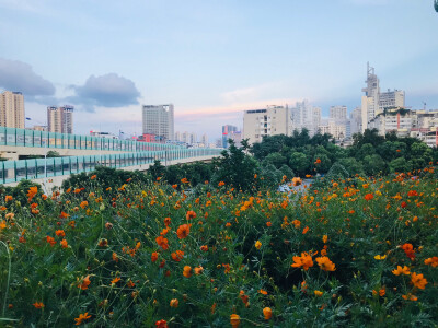 往前走的时候。偶尔停下来回头看看。你会看到不一样的风景