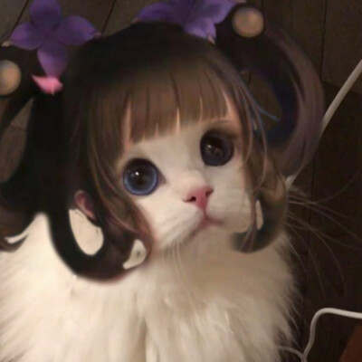 王者荣耀 接头小猫咪头像 小乔丁香结