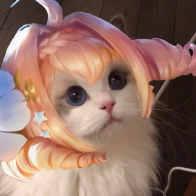 王者荣耀 接头小猫咪头像 蔡文姬源梦