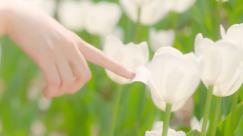 橙光素材剧情场景背景情节@feifei
ps:禁止二传