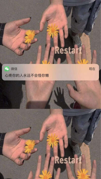 分享一下