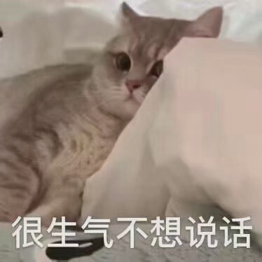 猫猫表情包 很生气不想说话