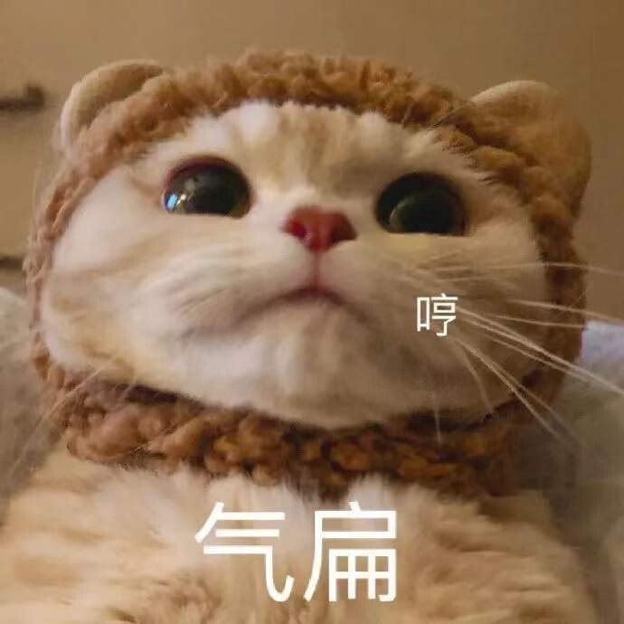 猫猫表情包 哼 气扁了