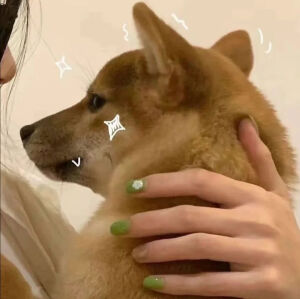 情侣头像啊啊啊啊
❤