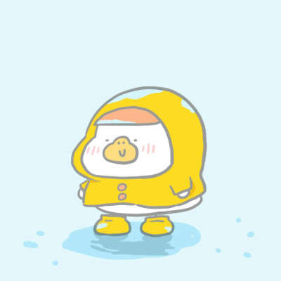 鸭