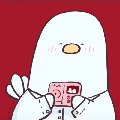 鸭