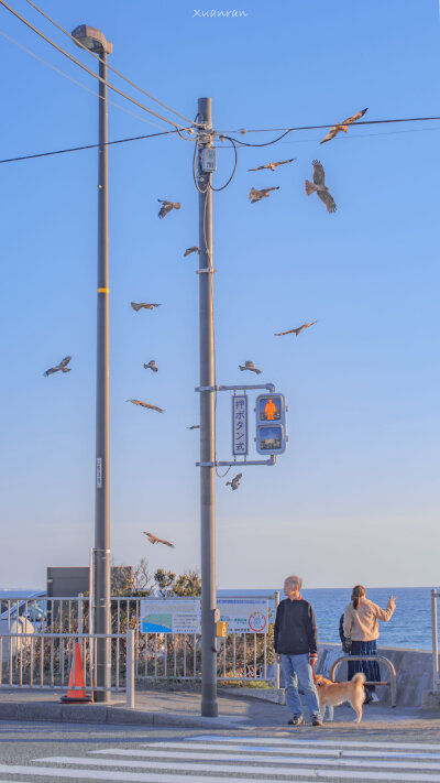 街景 |cover：Weibo