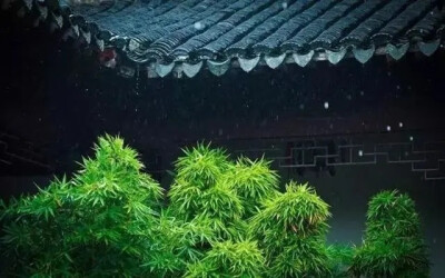 【原创】《谢池春.词牌乐》
水调歌头，唱的滿庭芳绽。庆春泽、梅花引見。玉楼春里，叹谢池春慢。滿江红、水龙吟乱。
莺啼序柳，蝶恋花双双燕。御街行、风流子转。临江仙女，正陪离庭宴。七娘子、把昭君怨。
文/李国…