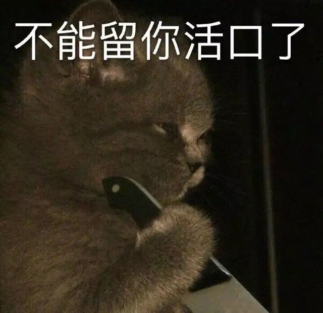 猫表情包 不能留你活口了