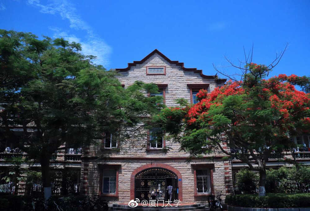 大学