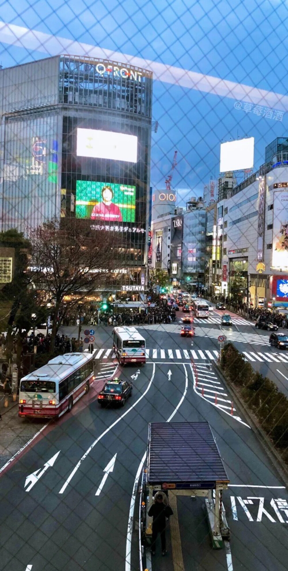 渋谷駅