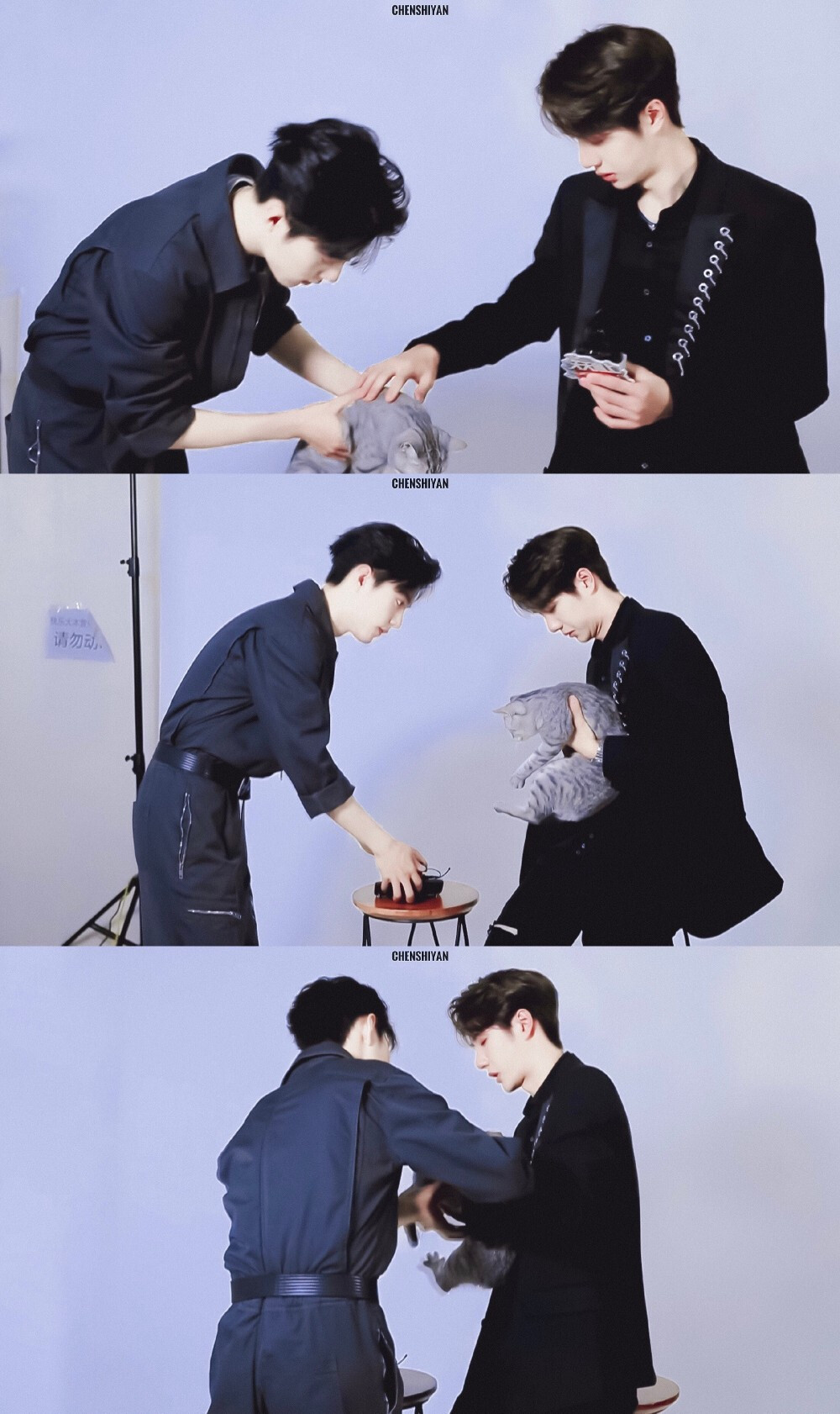 王一博肖战天天向上博肖