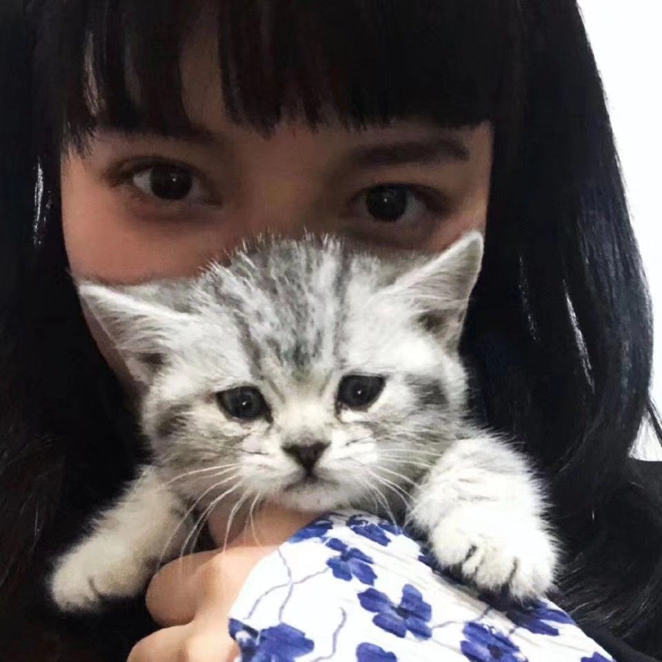 【女生头像】人手一只猫系列 日系少女 猫遮脸 小奶猫 萌 可爱