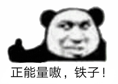 小熊猫 搞怪 沙雕 表情包