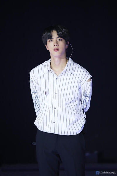 Jin 김석진 金硕珍