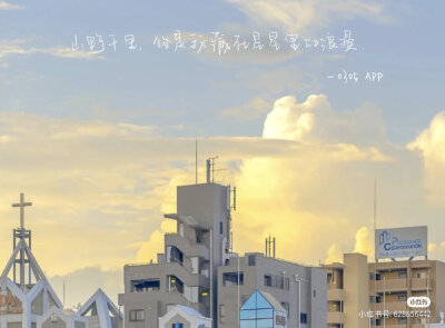 文字控～
By小红书@酒酿丸子（她原创）
请勿乱盗图，礼貌拿图，转发需标上作者