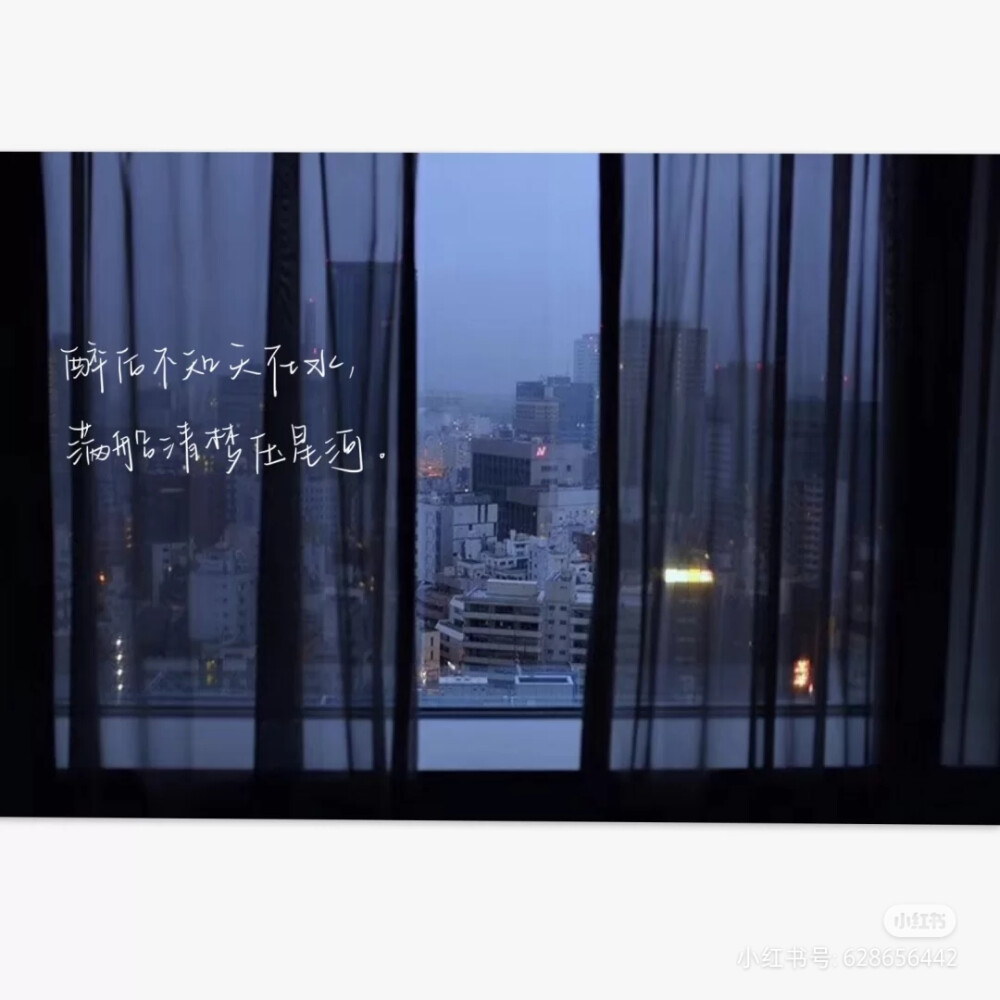 文字控～ by小红书@酒酿丸子(她原创)请… - 堆糖,美图壁纸兴趣社区