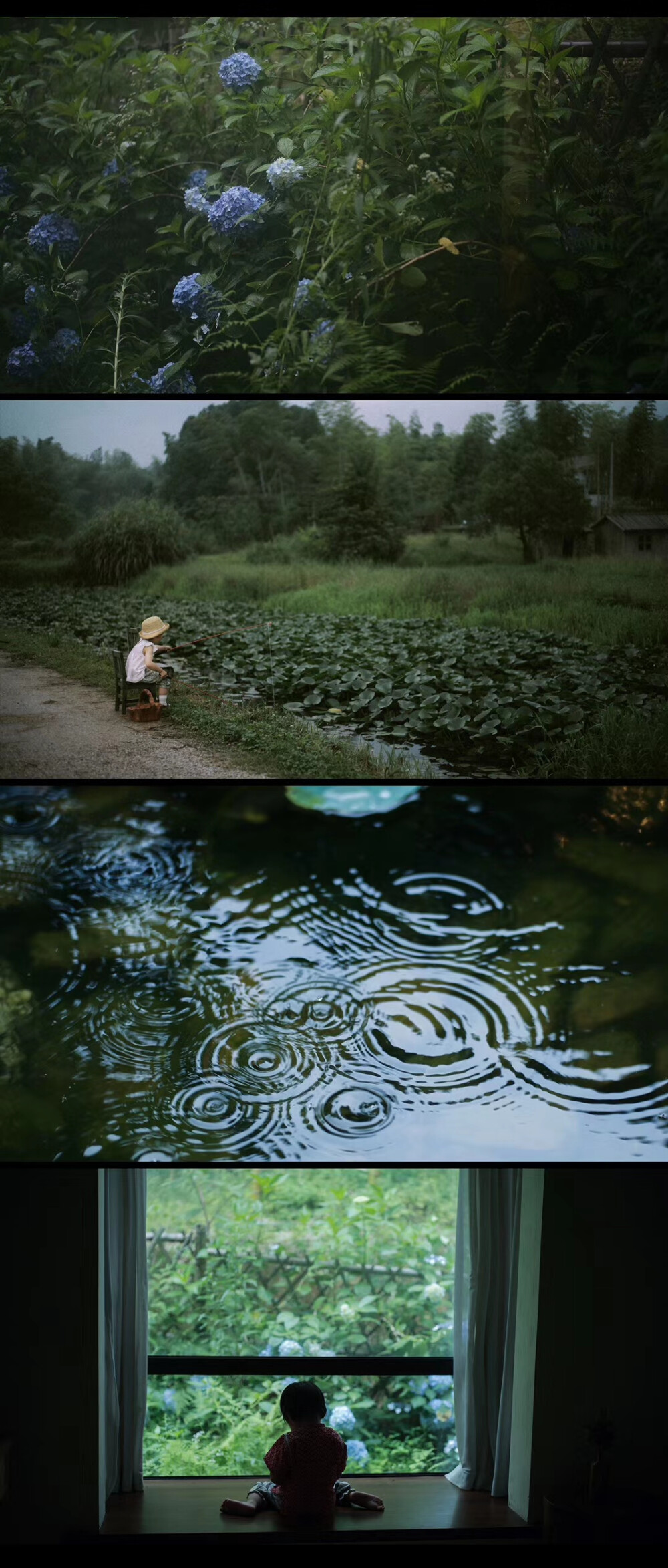 和春天的花儿打照面，和小昆虫共舞，在雨中嬉戏，在夕阳里漫步。吴水滴的春日大自然照片汇编，我们一起度过了生命中一个灿烂的季节。