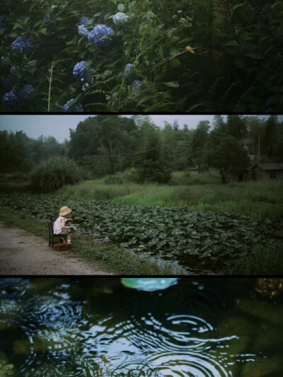 和春天的花儿打照面，和小昆虫共舞，在雨中嬉戏，在夕阳里漫步。吴水滴的春日大自然照片汇编，我们一起度过了生命中一个灿烂的季节。