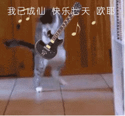 猫咪表情包我已成仙快乐七天哦耶
