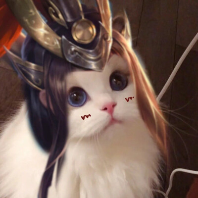 猫咪kiwi英雄接头头像
Cr: 一罐儿甜
猫咪@吴kiwi是一只布偶